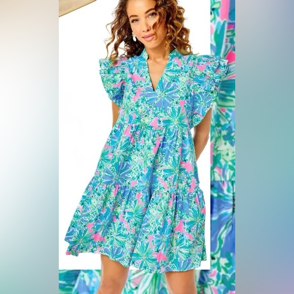 Lilly Pulitzer Aldena Floral Ruffle A-line Dress Multicolor Floral V-Neck Dress - Picture 1 of 7